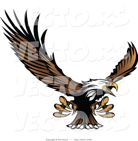 Vector Of A Bald Eagle Reaching Out With Claws While Flying By Chromaco