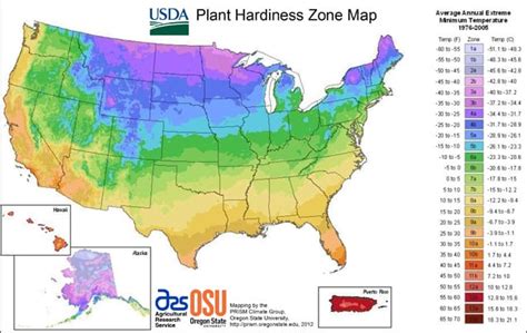 New Usda Plant Hardiness Zones