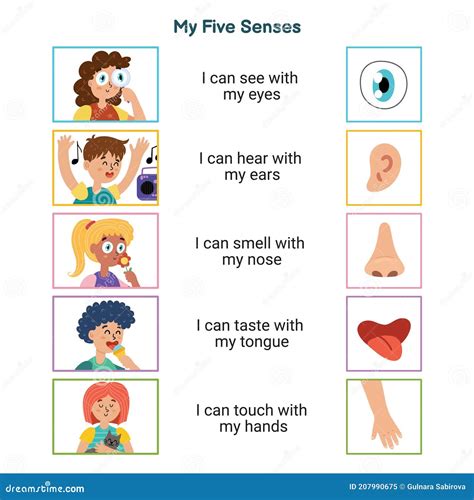 My Five Senses Educational Poster For Kids Sight Hearing Smell