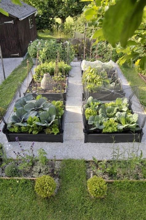 100 top idées pour faire un jardin potager en 2021 Design de jardin