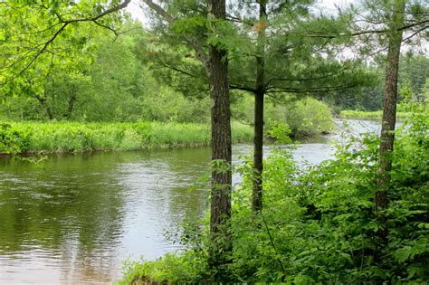 The Wolf River Is One Of Northern Wisconsins More Pristine Rivers And