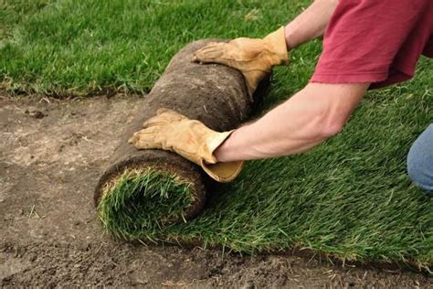 Preparing for sod means your yard must be a clean slate. How to Lay Sod Over an Existing Lawn | Sod cost, Bermuda ...