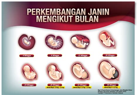 8 Bulan Berapa Minggu Usia Kehamilan