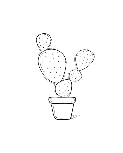 A Drawing Of A Cactus In A Pot