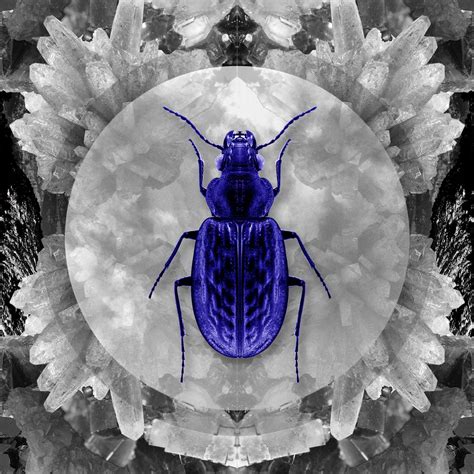 Beetle Bug By Lou Madhu Another Kind Mystical Art Beetle Bug Art
