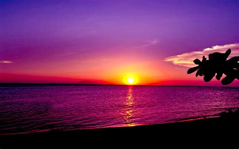 Free Photo Ocean Sunset Sky Romance Romantic Free Download Jooinn