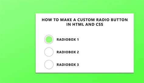 How To Make A Custom Radio Button In Html And Css Doctorcode Images