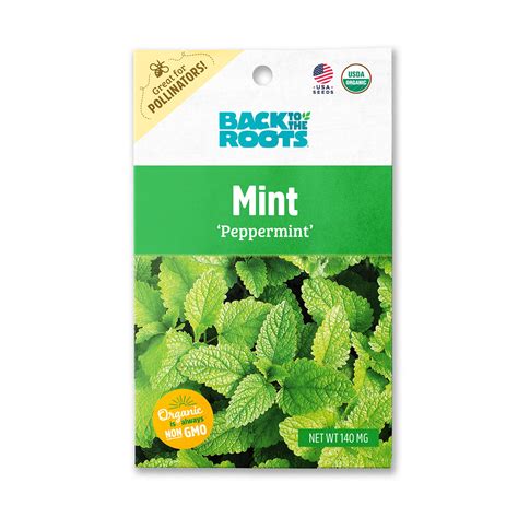 Back To The Roots Organic Peppermint Mint Gardening Seeds 1 Seed
