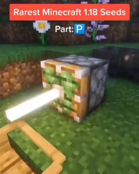 Rarest Minecraft 118 Seeds Part