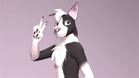 Glitch Border Collie Vrchat Avatar 3d Model By Meelo Fc2657b