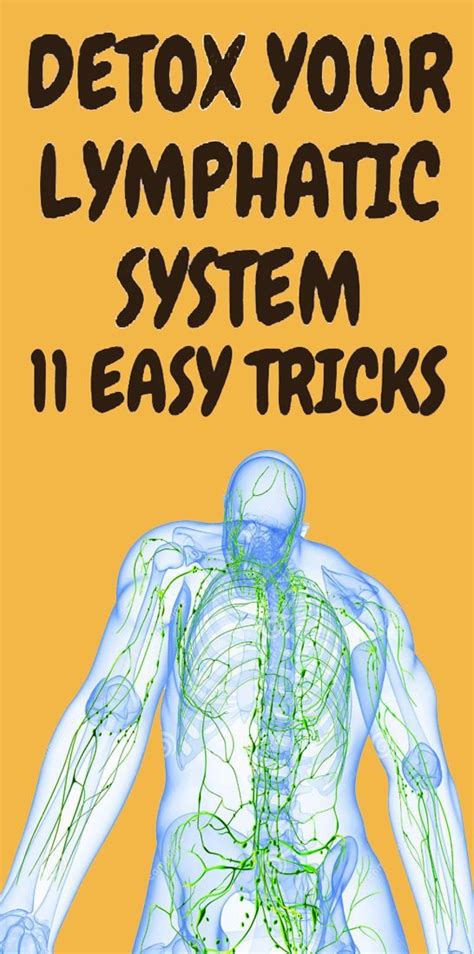 Natural Lymphatic System Detox Remedies To Help Your Body In 2021