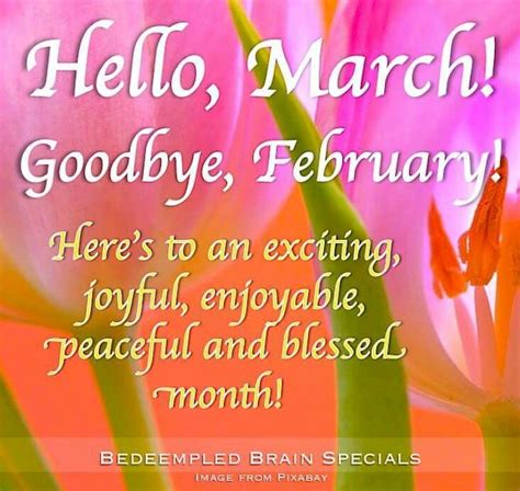 Goodbye February Happy March January To December March Month March