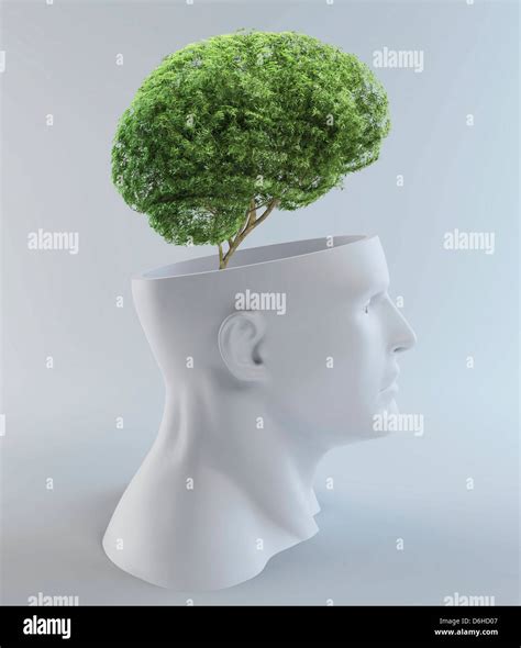 Tree Shaped Brain Artwork Stock Photo Alamy