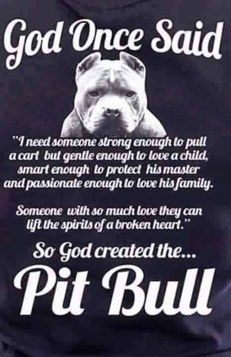 Be Their Voice Pitbull Quotes Pitbull Terrier