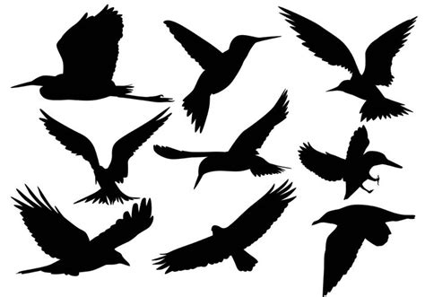 Flying Seagull Silhouette At Getdrawings Free Download