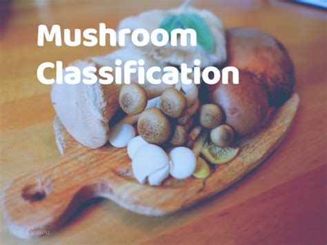 Machine Learning Project On Mushroom Classification Whether Its Edible