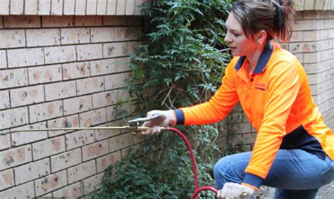 Pest control is one of the most fun npc versus. Choose the best pest control service to save your money ...