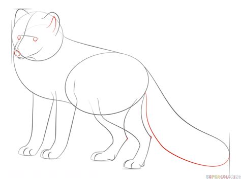 They have thick fur to protect them from the cold, which makes them especially puffy draw a snaking line of action capturing the motion of the pose. How to draw an arctic fox | Step by step Drawing tutorials ...