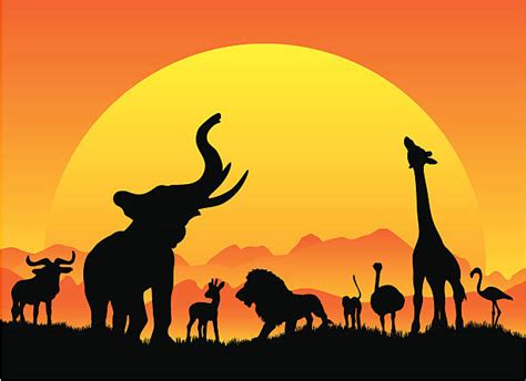 Africa Sunset Illustrations Royalty Free Vector Graphics And Clip Art