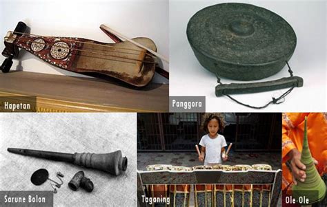 Bahkan suku batak sendiri memiliki beberapa jenis lagi, antara lain : 12 Alat Musik Tradisional Sumatera Utara dan Penjelasannya | Adat Tradisional