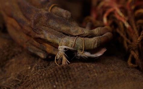 500 Year Old Mummy Of Incan Girl Returns To Bolivia Wkrc