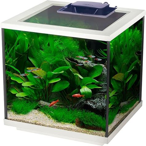 Interpet Aqua Cube Glass Fish Tank Aquarium With Integrated Led