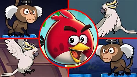 Angry Birds Rio Rehydrated All Bosses Boss Fight YouTube