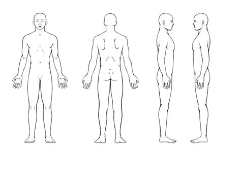 Winning Design By Simbe Body Diagram Human Body Drawing Body Template