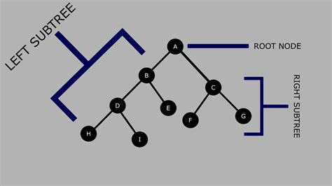 Draw Binary Tree Using Inorder Preorder Robinson Yourat