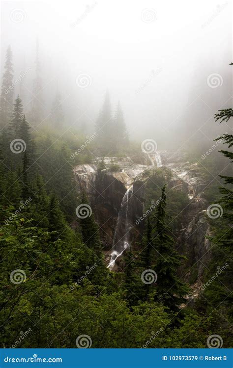 Waterfall In Forest Surrounded By Fog Stock Image Image Of Keekwulee