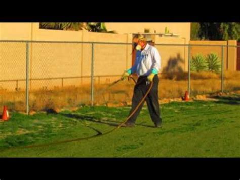 When you see evidence of cockroaches in your home, your first inclination may be to reach for the strongest bug fortunately, there are ways to control pests and keep your family safe, too. Mosquito Exterminator Anthem Az - SG Bug Pest Control