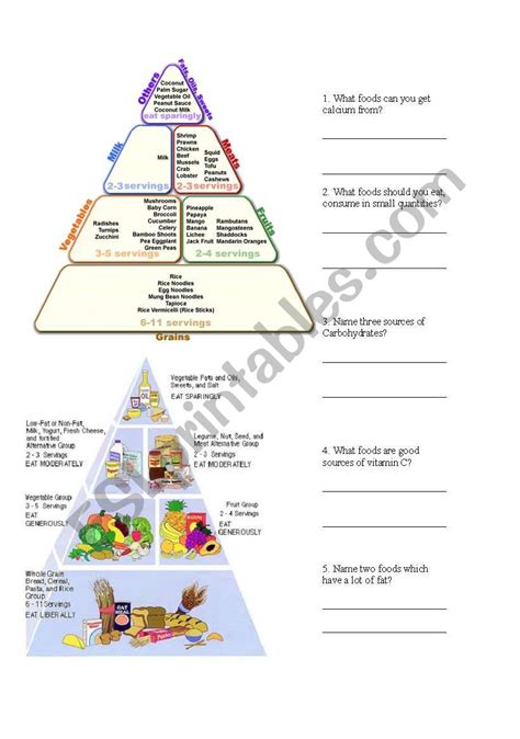 Food Pyramid Worksheet