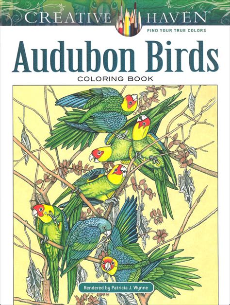 Audubon Birds Coloring Book Creative Haven Dover Publications
