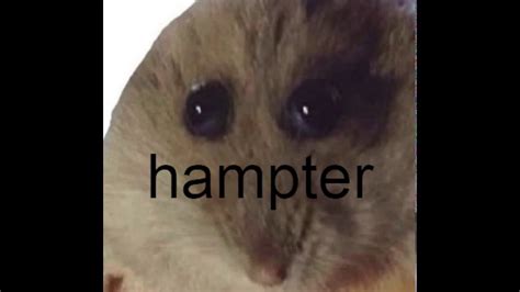 Hamster Youtube