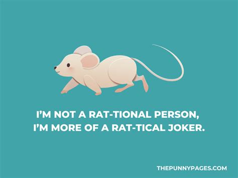 100 Funny Rat Jokes And Puns