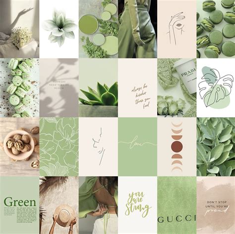Boho Sage Green Wall Collage Kit 1 Aesthetic Botanical Soft Etsy