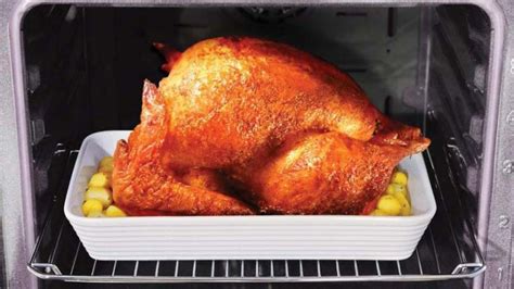 Cooking a Turkey in a Convection Oven