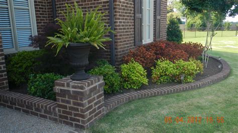 Low Maintenance Plants For Front Yard Landscaping For Effortless Beauty