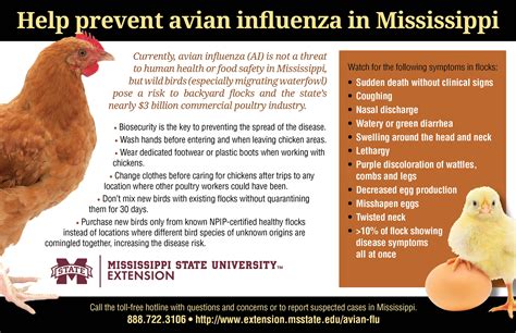 Bird flu illness in people has ranged from mild to severe. Avian Flu | Mississippi State University Extension Service