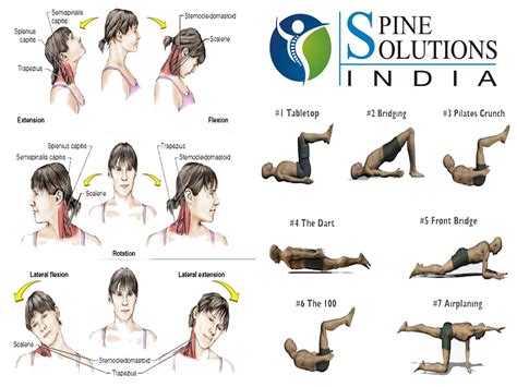 Spine Solutions India By Dr Sudeep Jain Exercises For Rehabilitation