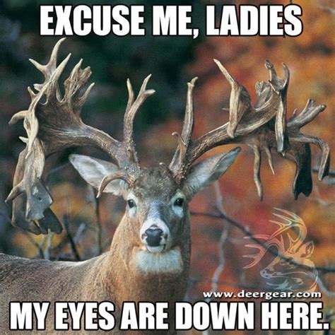 Pin By Truelys Outdoors On Hunting Memes In 2020 Deer