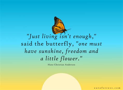 36 Butterfly Quotes That Will Inspire And Motivate You