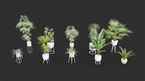 Plant In Pot Asset Pack Download Free 3d Model By River Visual