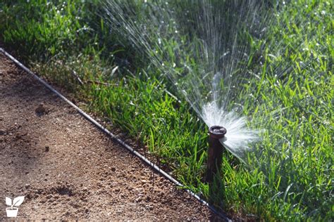 If you're still in two minds about yard irrigation system and are thinking about choosing a similar product, aliexpress is a great place to compare and, if you just want to treat yourself and splash out on the most expensive version, aliexpress will always make sure you can get the best price for your. How to Install Your Own Sprinkler System layout - Step By Step Guide