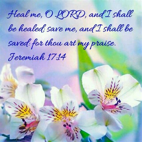 Jeremiah 1714 Kjv Heal Me O Lord And I Shall Be Healed Save Me