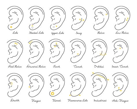Some Of The Most Popular Types Of Ear Piercings And Their Names So Scene