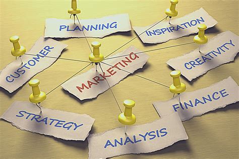 6 Key Components For A Successful Marketing Plan That Scales Veromo