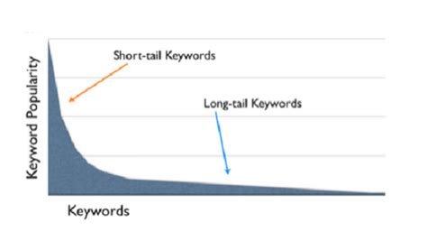 Digital Marketing And Seo Blog Short Tail Vs Long Tail Which Type Of