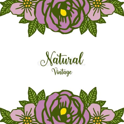 Vector Illustration Greeting Card Natural Vintage With Ornate Of Purple