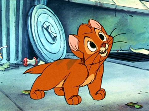 A cartoon cat, sick of the annoying mouse living in his home, devises a plot to take him out with a when the originals were broadcast on us television in the 1960s in the 80 years since their creation, the cat and mouse have appeared in everything from a kids version to a 1992 musical movie where. Can You Get A Perfect Score On This Disney Character Quiz ...